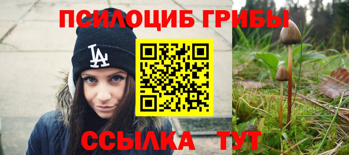 Галлюциногенные грибы Psilocybe Владивосток
